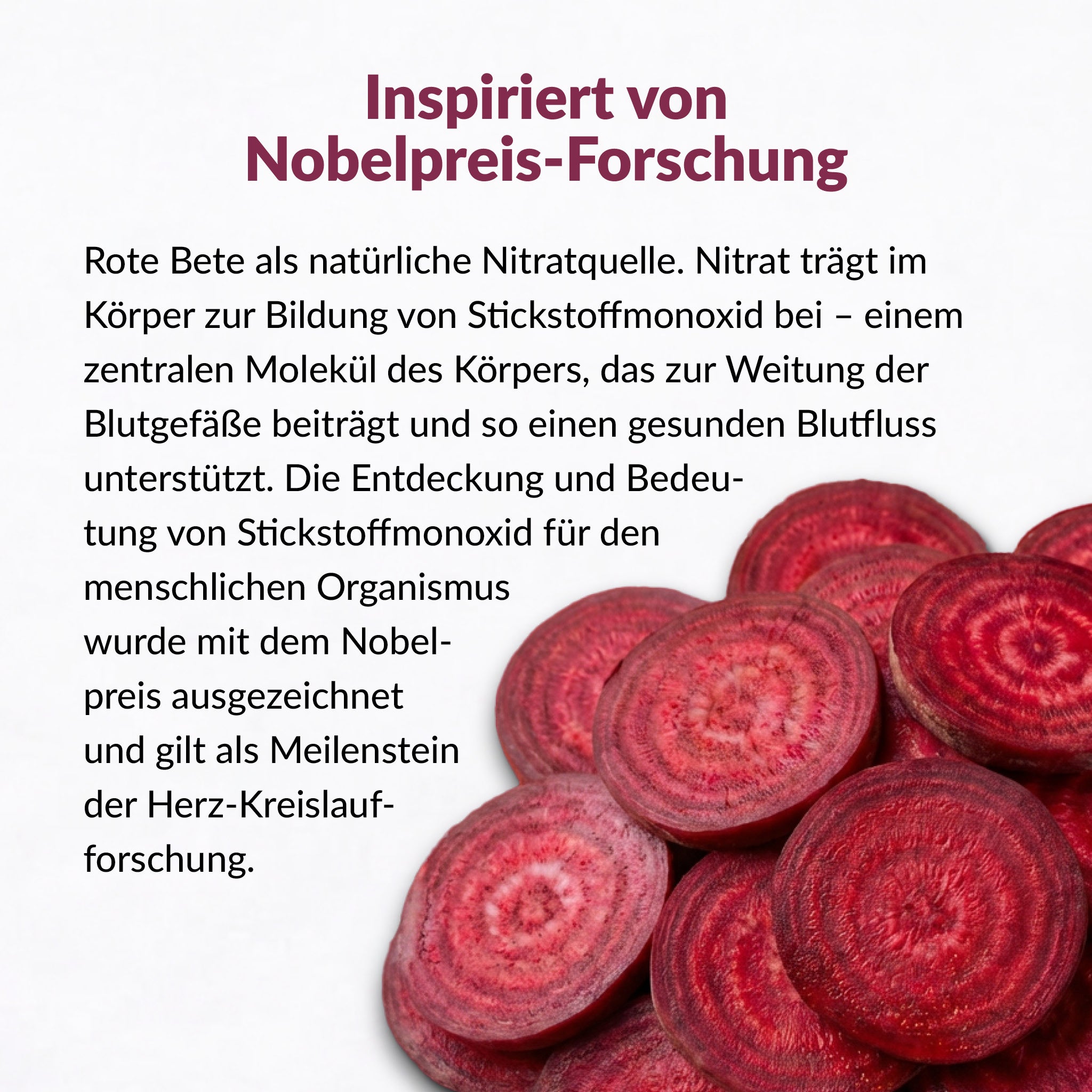 Aufgeschnittene Rote-Bete-Scheiben mit Infotext: Inspiriert von Nobelpreis-Forschung – erklärt die Rolle von Nitrat und Stickstoffmonoxid für die Herz-Kreislauf-Gesundheit.